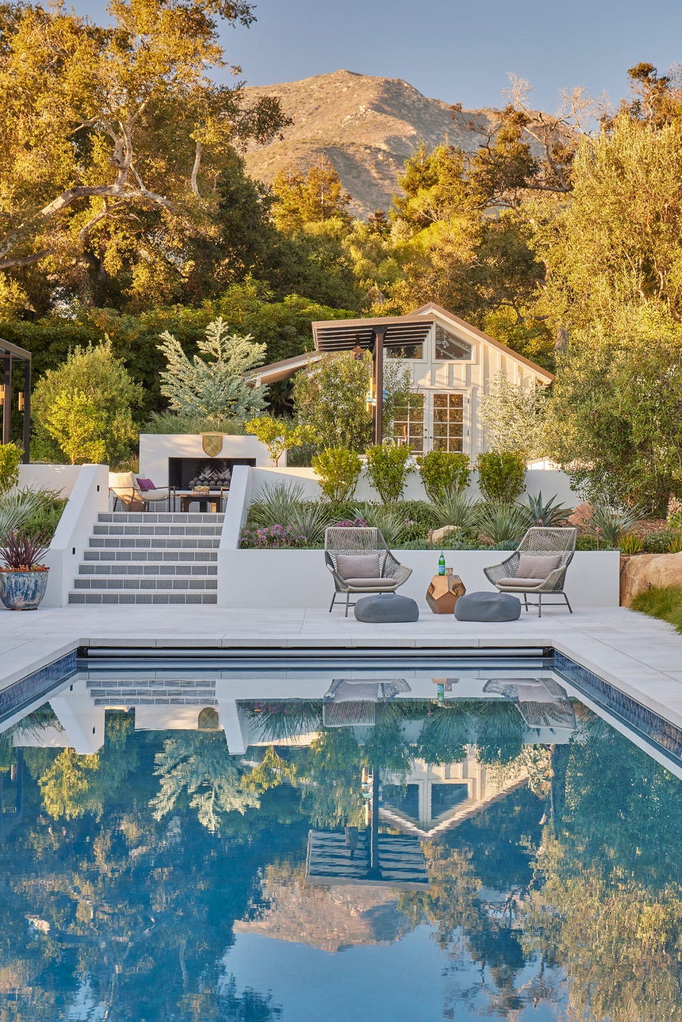 piscina rodeada de vegetación