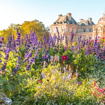 jardin du luxembourg with the senate palace in paris and flowers in bloom