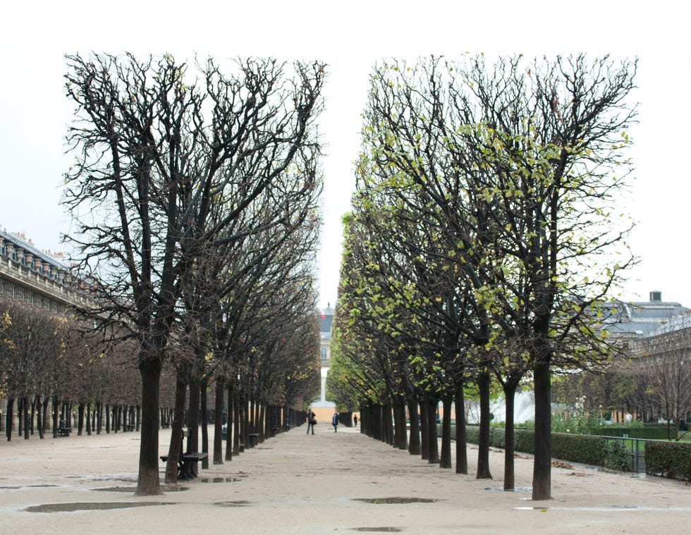 emily in paris
