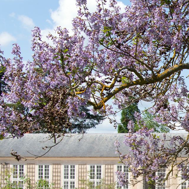 Maison Francis Kurkdjian and the Perfumer Gardens in Versailles