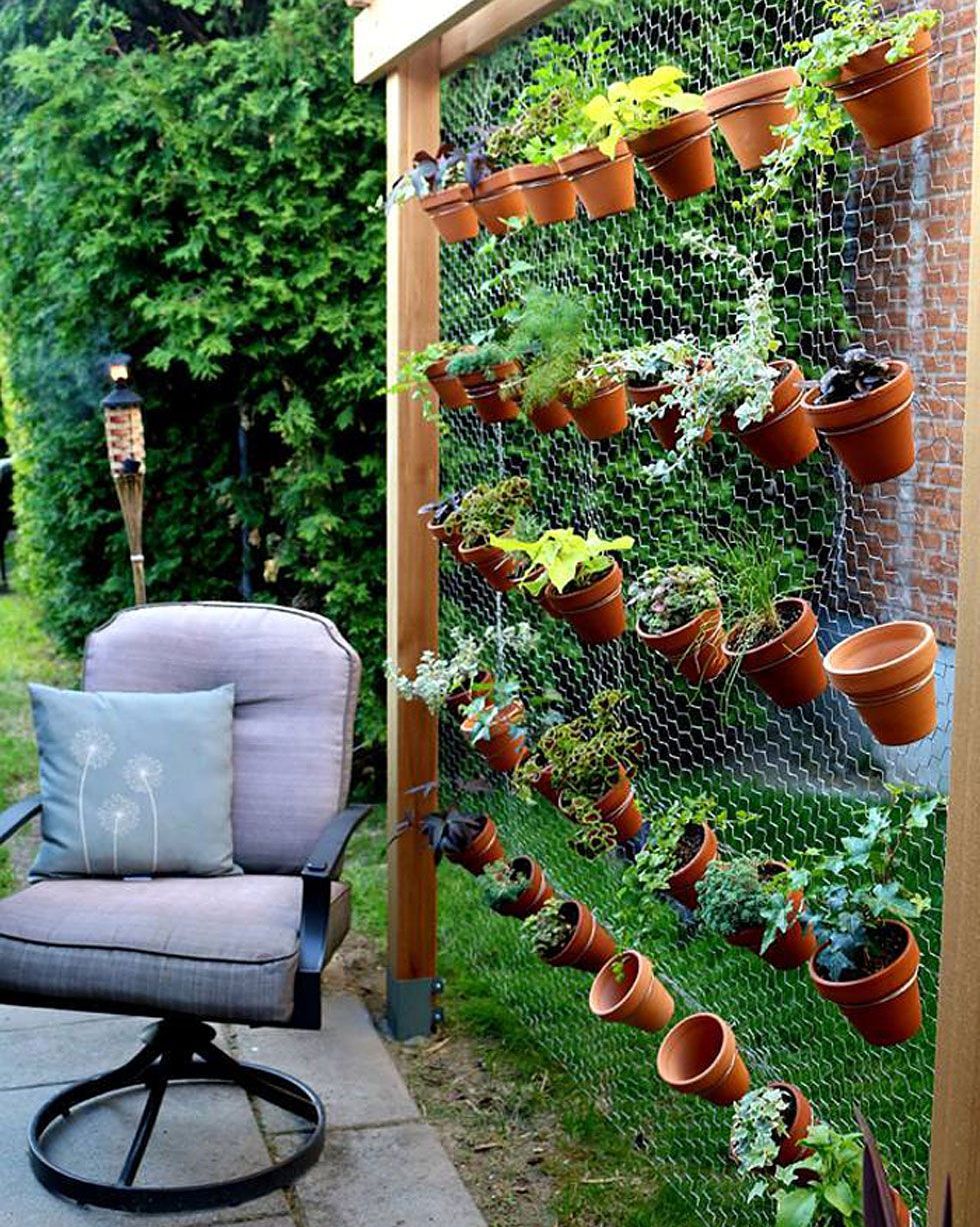 Estas son las mejores plantas para hacer un jardín vertical