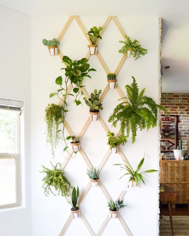 Las plantas colgantes como alternativa al jardín vertical, para conectar la  casa con la naturaleza sin ocupar espacio