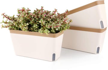 la maceta con riego automatico cuidar plantas vacaciones