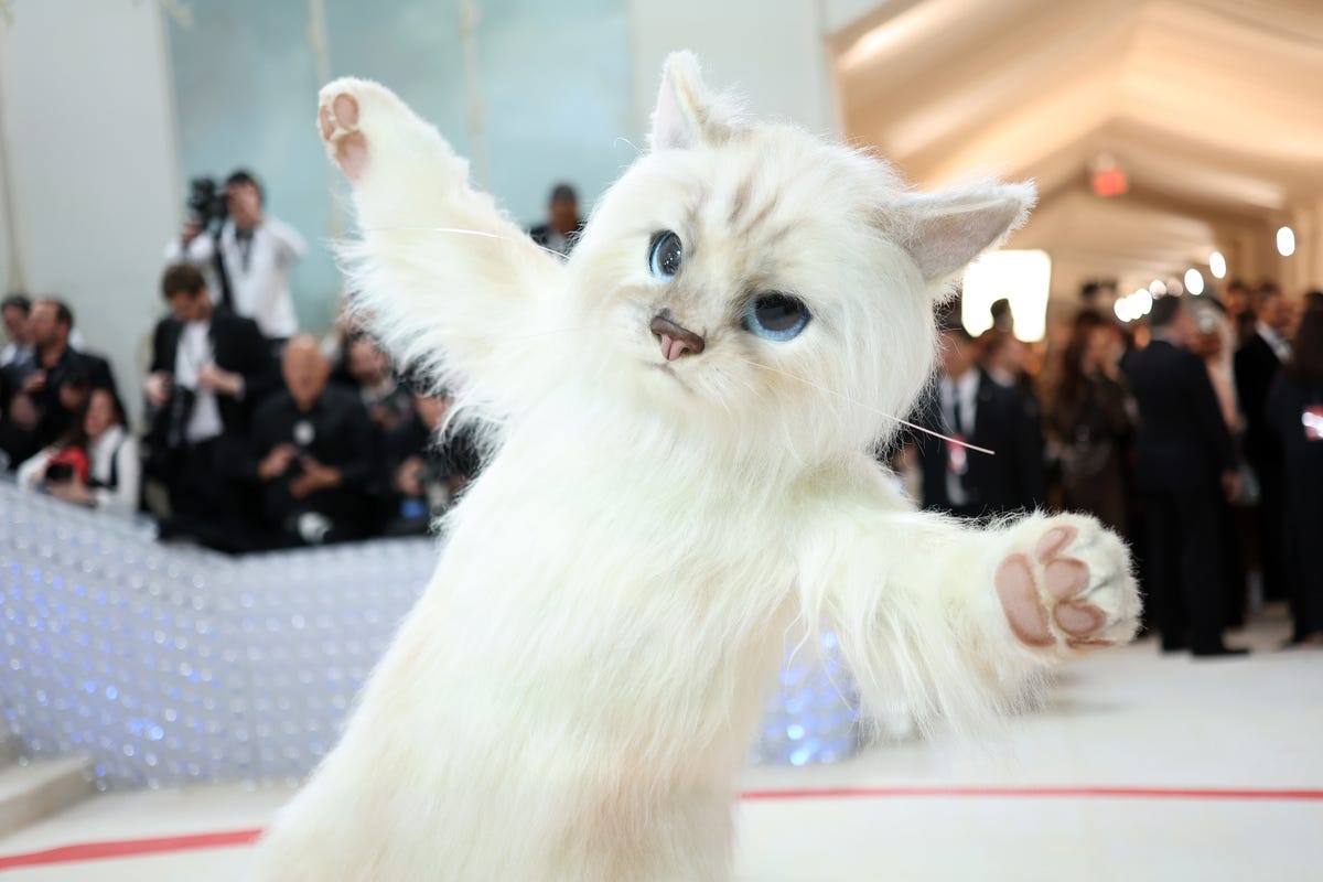 Jared Leto Dressed Up as Karl Lagerfeld's Cat Choupette at the 2023 Met Gala