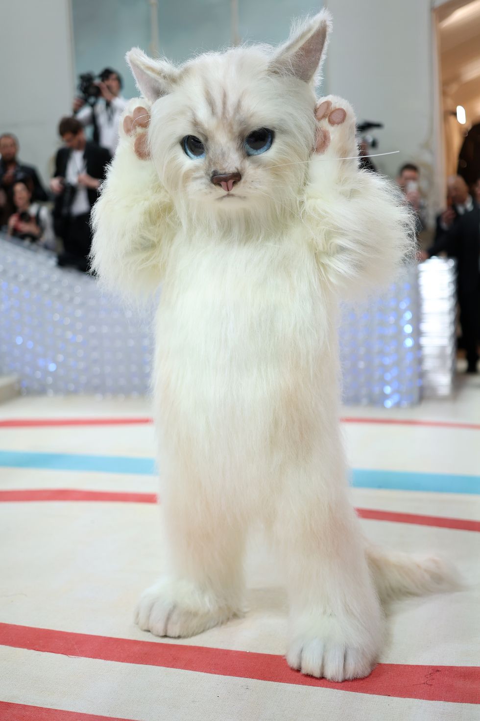 Jared Leto Dressed Up as Karl Lagerfeld's Cat Choupette at the 2023 Met Gala