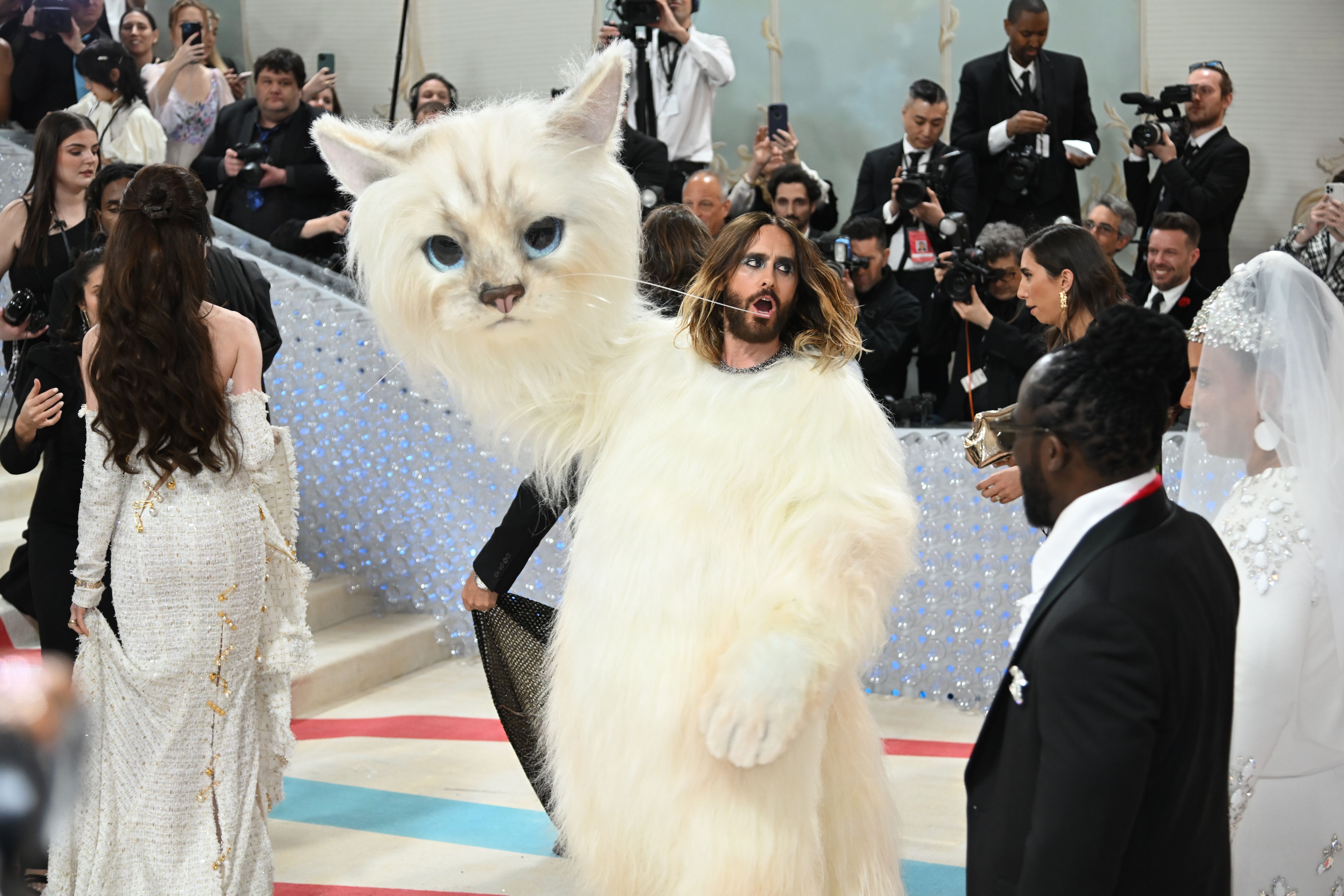 猫の着ぐるみ」や「全身宝石」など！ メットガラ2023年の奇抜