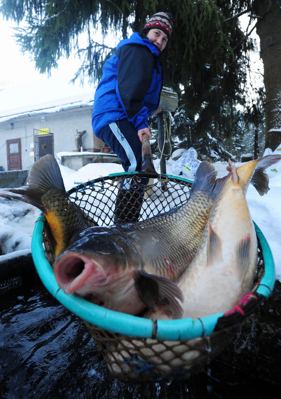 jarmila kokavcova pulls out some carps