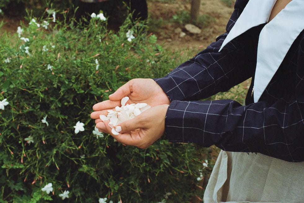 hands holding white flowers