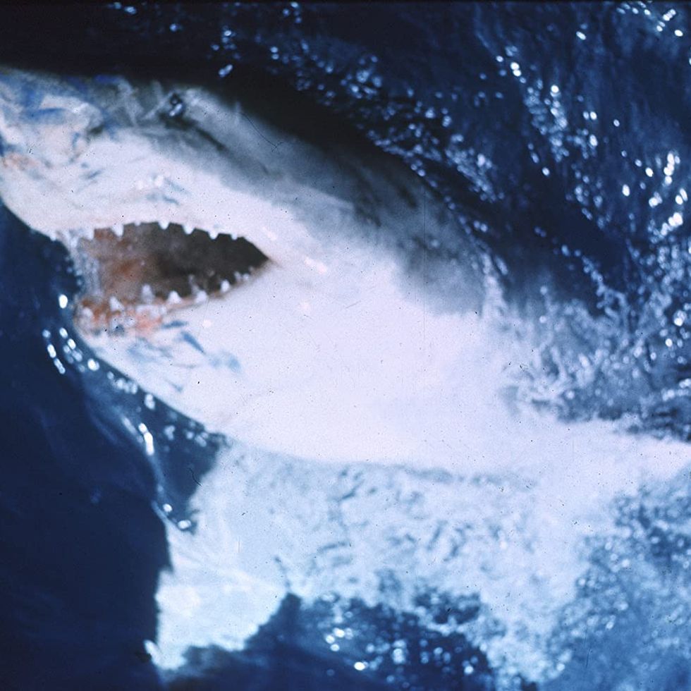 'jaws', 1975
