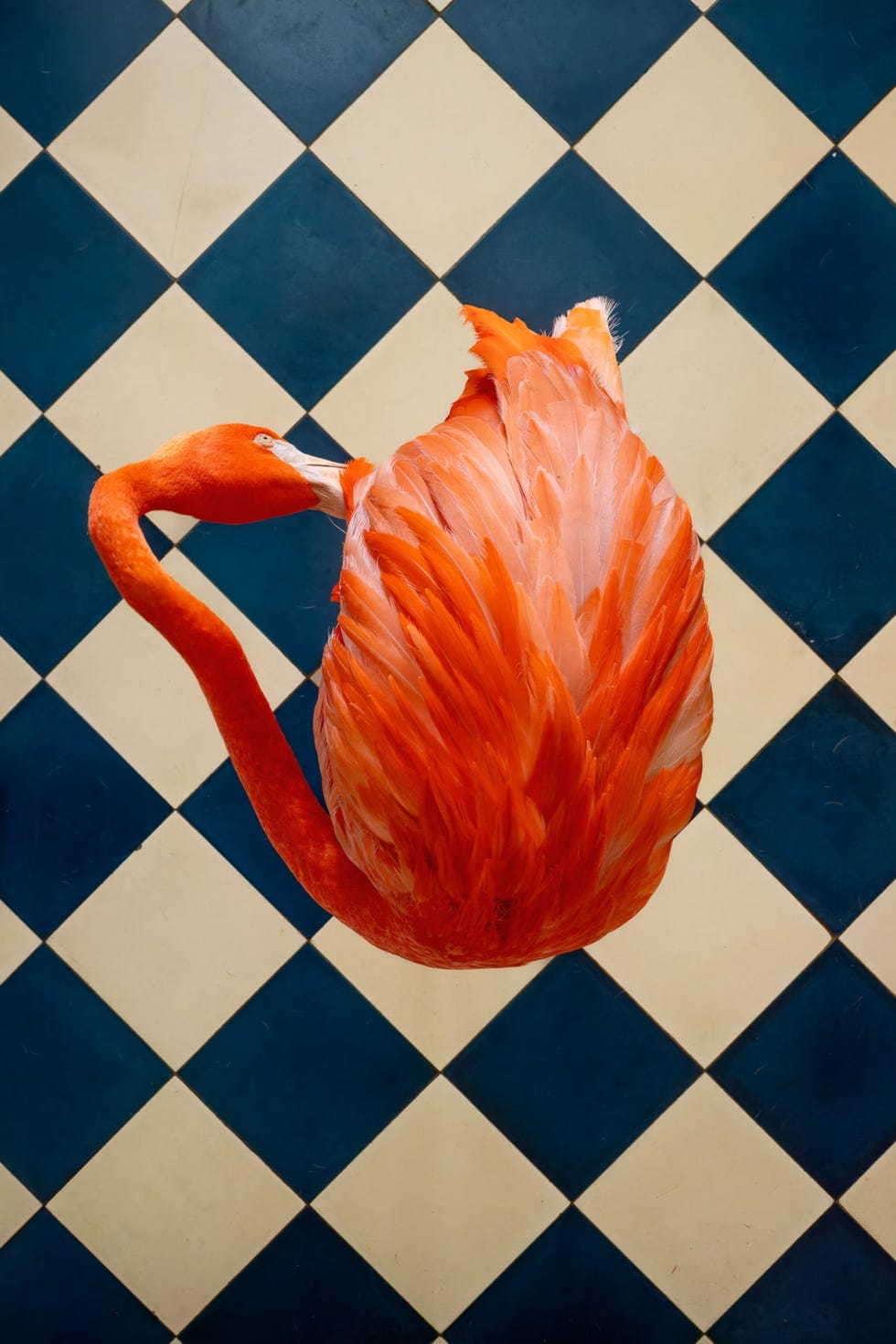 a couple orange carrots on a tile floor