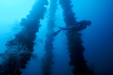 30 Stunning Shipwrecks That Will Blow Your Mind la micronesie