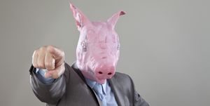 Pink, Head, Nose, Ear, Snout, Domestic pig, Hand, Suidae, Gesture, Costume, 