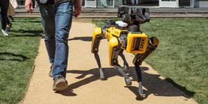 jeff bezos perro robot spotmini