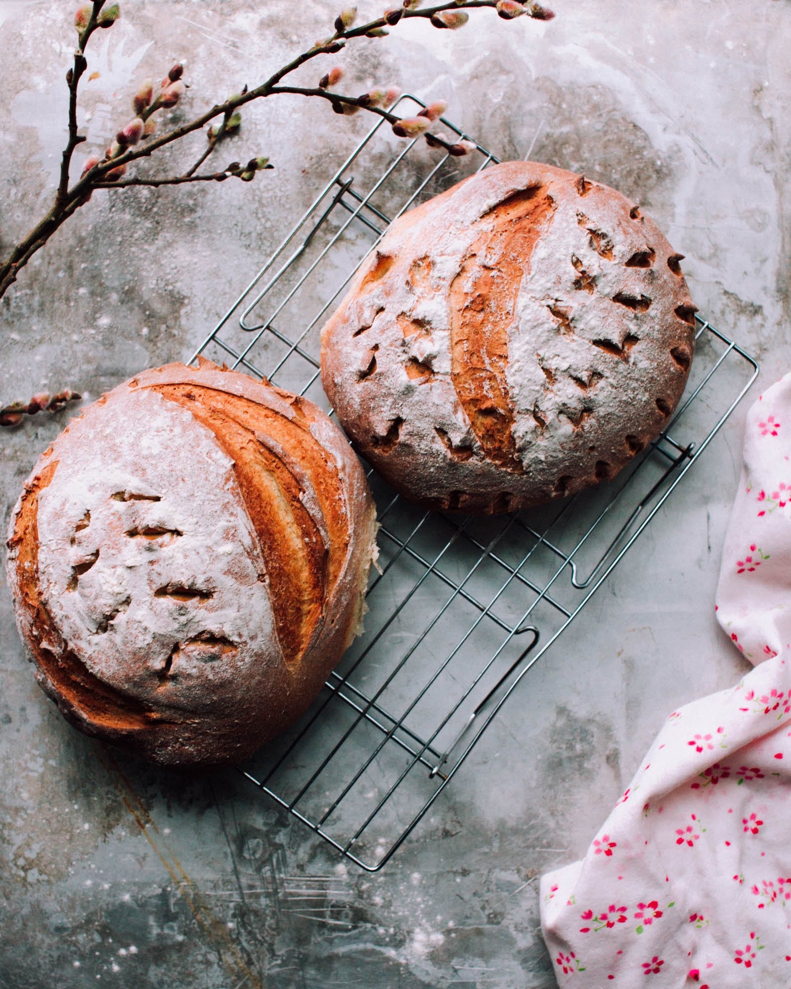 Food, Cuisine, Dish, Bread, Bun, Baked goods, Soda bread, Ingredient, Powdered sugar, Sourdough, 