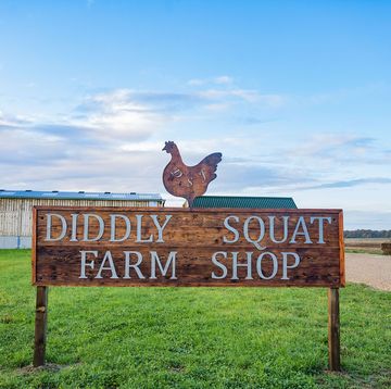 jeremy clarkson's farm chipping norton diddly squat farm shop
