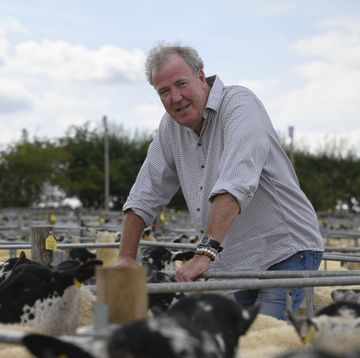 jeremy clarkson in amazon prime's i bought a farm