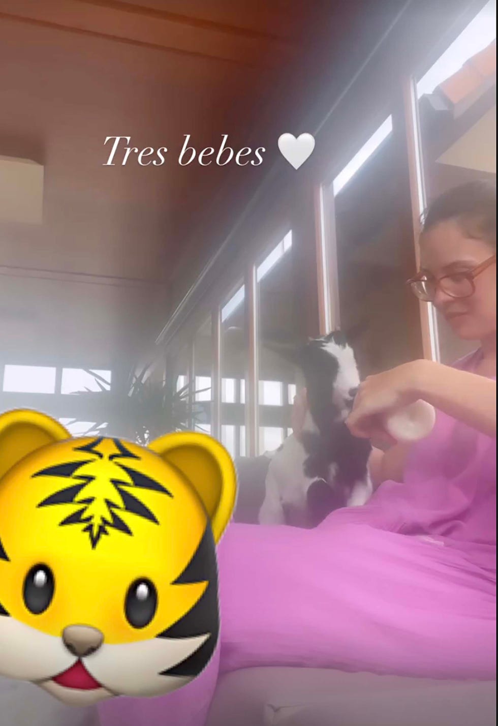 jessica bueno mascota