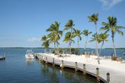 jetty and palm trees