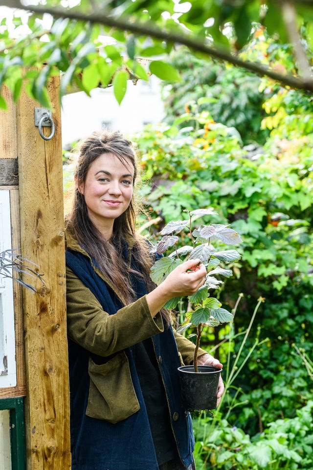 Frances Tophill's top tips for small gardens