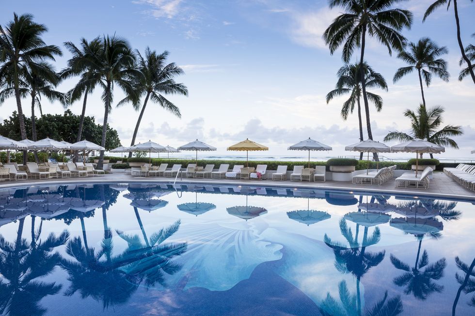 Swimming pool, Sky, Resort, Tree, Palm tree, Water, Reflection, Vacation, Reflecting pool, Tropics, 