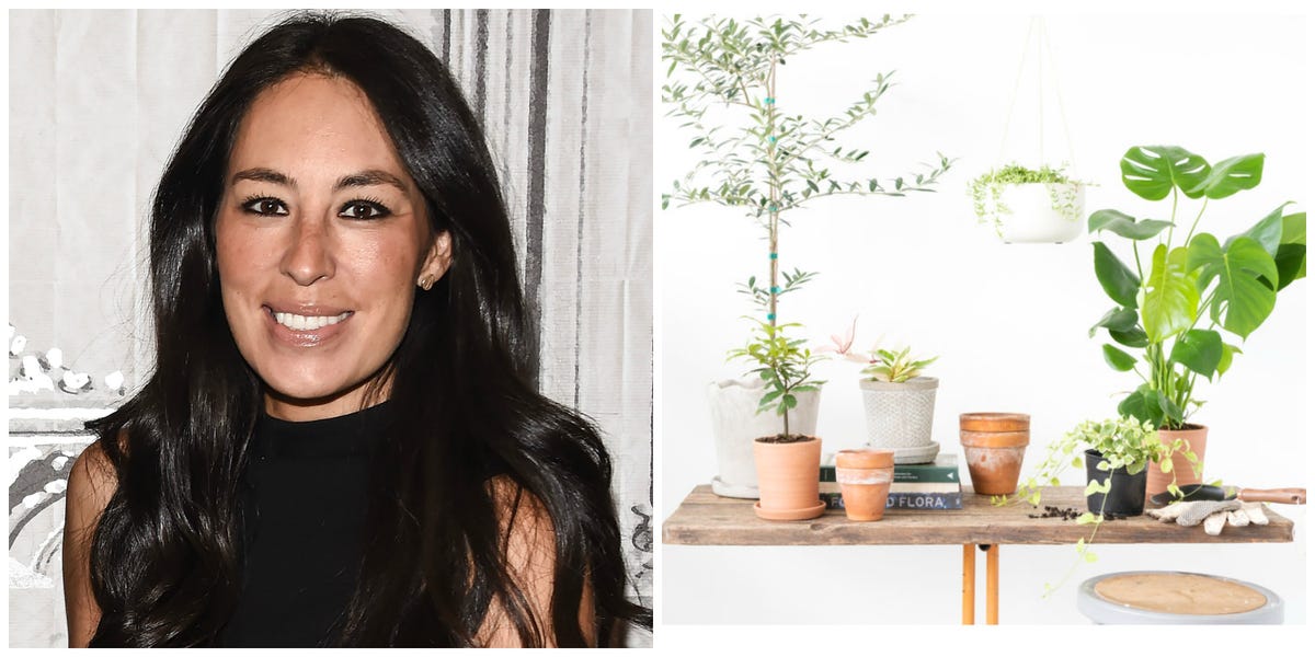 Joanna Gaines Adds A Houseplant Line To Magolia Market