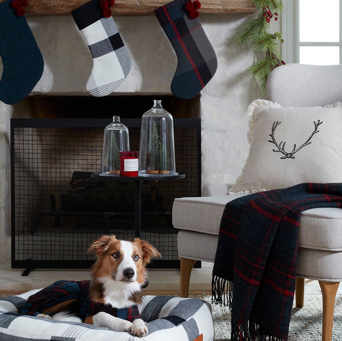joanna gaines pet christmas collection - hearth and hand with magnolia target