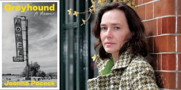 greyhound by joanna pocock, book review