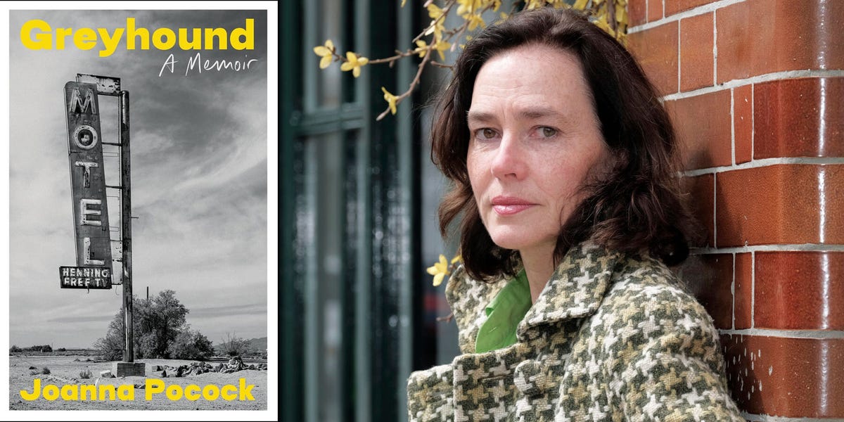greyhound by joanna pocock, book review greyhound by joanna pocock, book review
