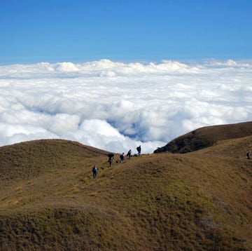 a group of people walking up a hill