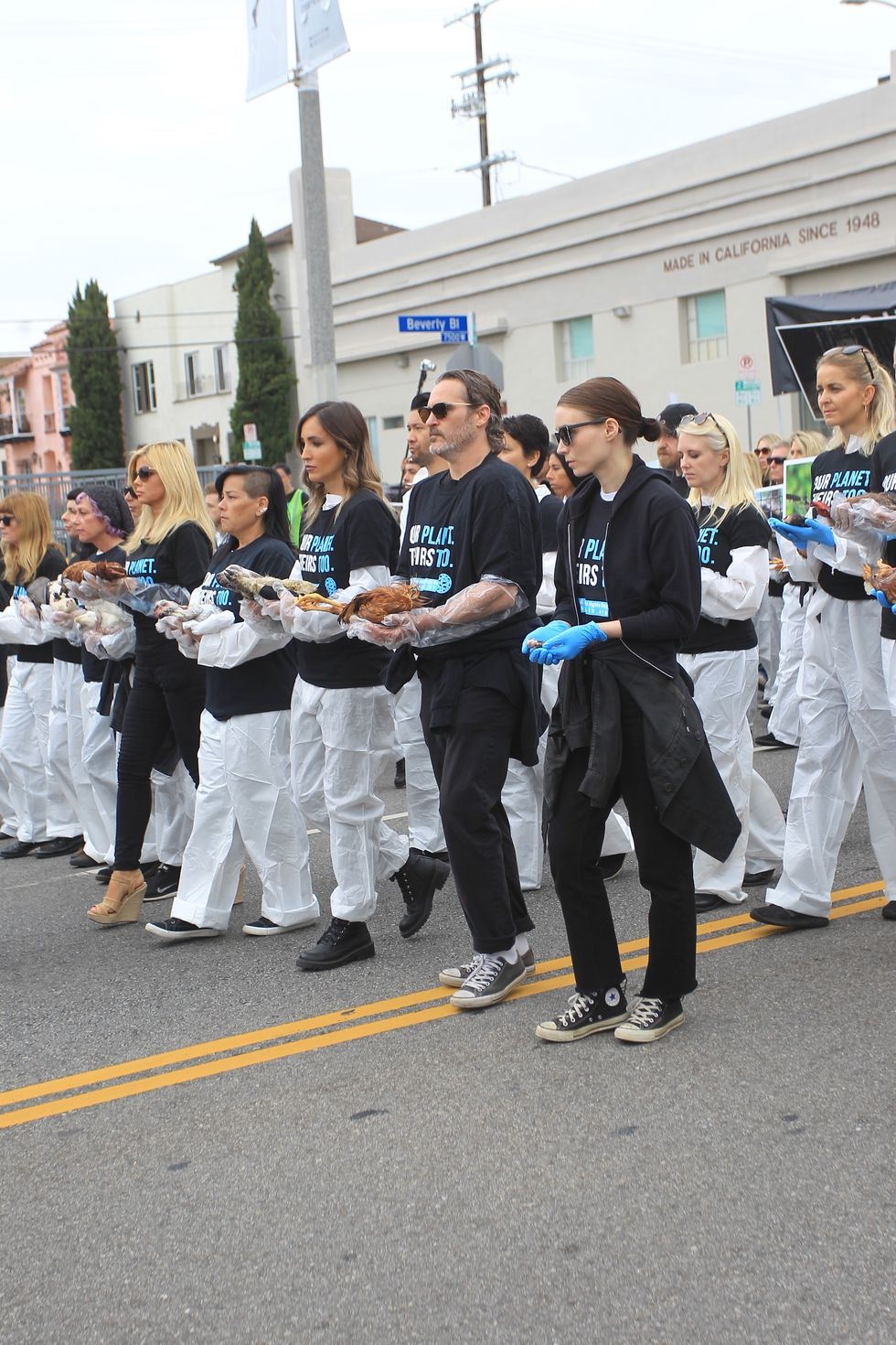 Joaquin Phoenix and Rooney Mara on National Animal Rights Day on June 2, 2019 at The National Animal Rights Day Demonstration in Los Angeles, California.