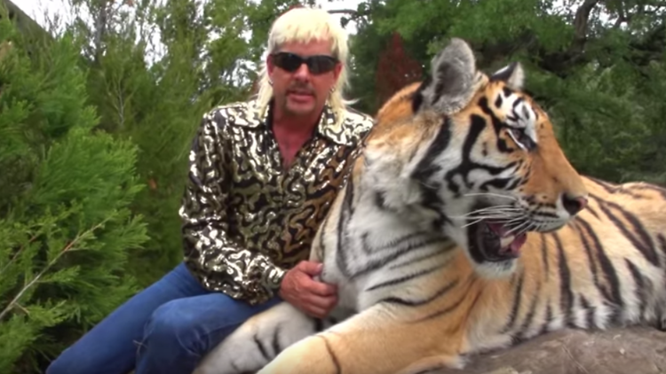 The best documentaries to watch after Tiger King