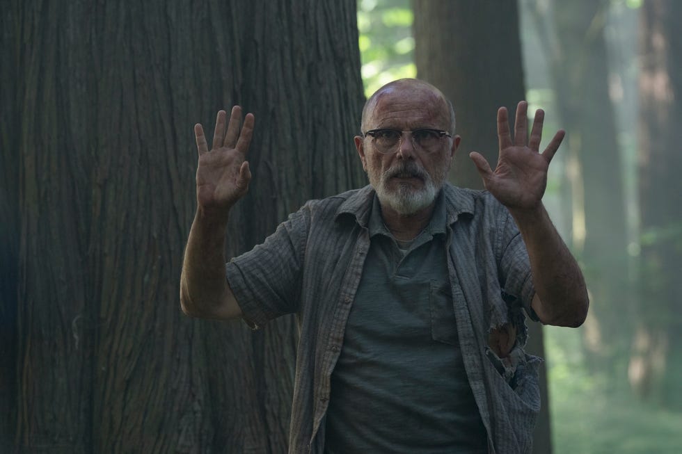 the last of us