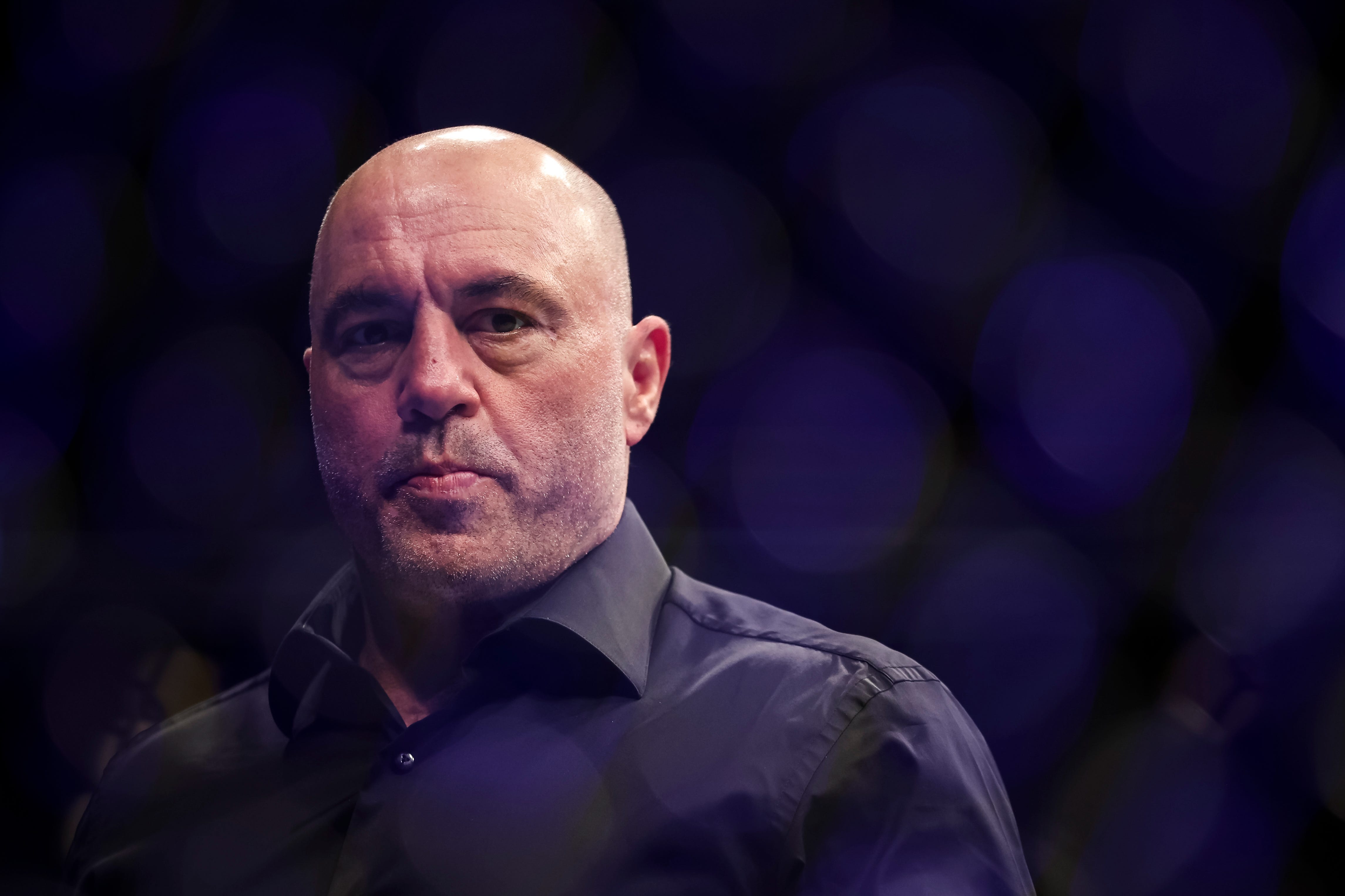Joe Rogan Says He Gave Himself Arsenic Poisoning From Eating Too Many Sardines