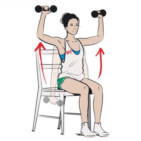 Weights, Exercise equipment, Shoulder, Dumbbell, Arm, Overhead press, Standing, Joint, Cartoon, Muscle, 
