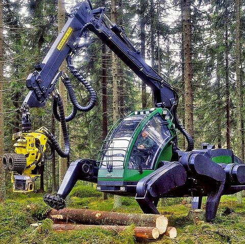 Natural environment, Tree, Forest, Grass, Machine, Plant, Woodland, Vehicle, 