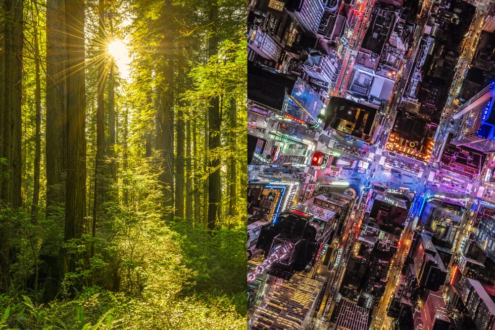 john freeman, poetry, environmental costs of modern living