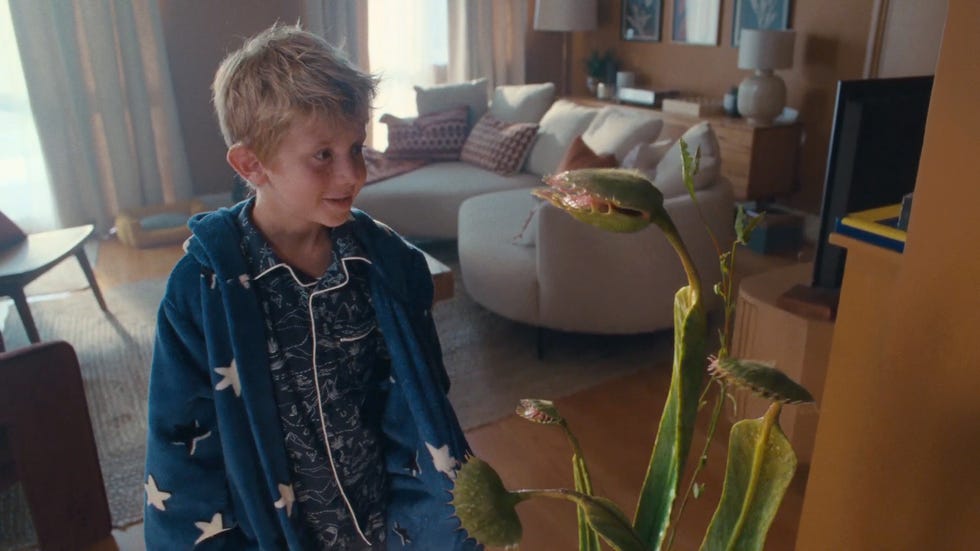 john lewis partners christmas advert 2023 snapper the perfect tree