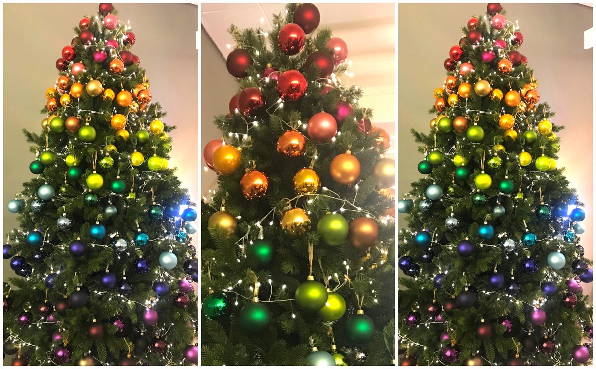 Rainbow Christmas Trees Will Be Biggest Christmas 2018 Trend, says ...