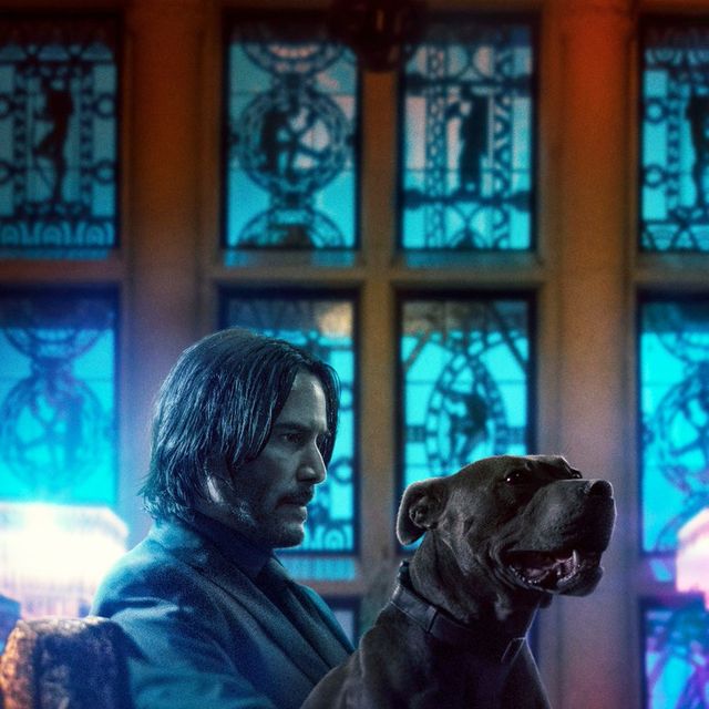 John Wick 5: Release date, cast, news and rumours about the