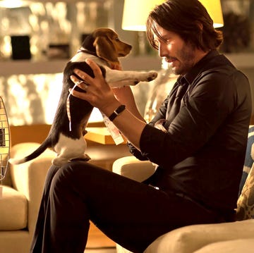 john wick perro keanu reeves