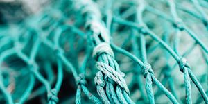 Green, Net, Turquoise, Blue, Wire, Wire fencing, Close-up, Fence, Fishing net, Technology, 