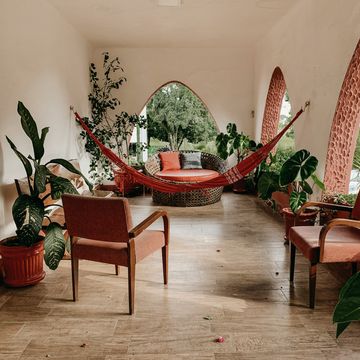 a room with chairs and plants