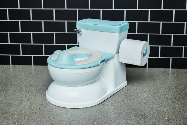 14 Best Potty Chairs for Toddlers in 2024 - Potty Training Chairs 