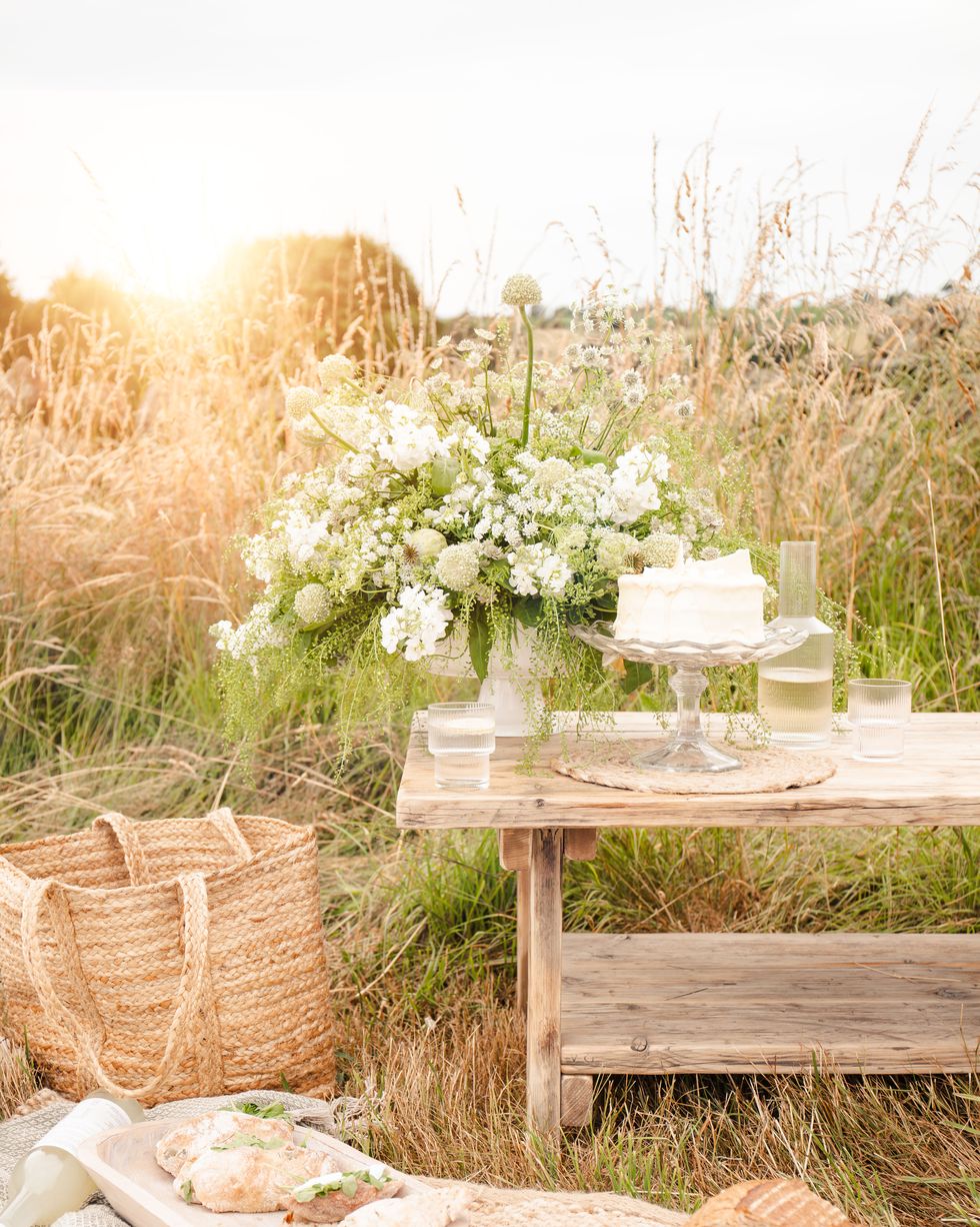 8 Picnic Ideas & Beautiful Picnicware For Stylish Outdoor Dining