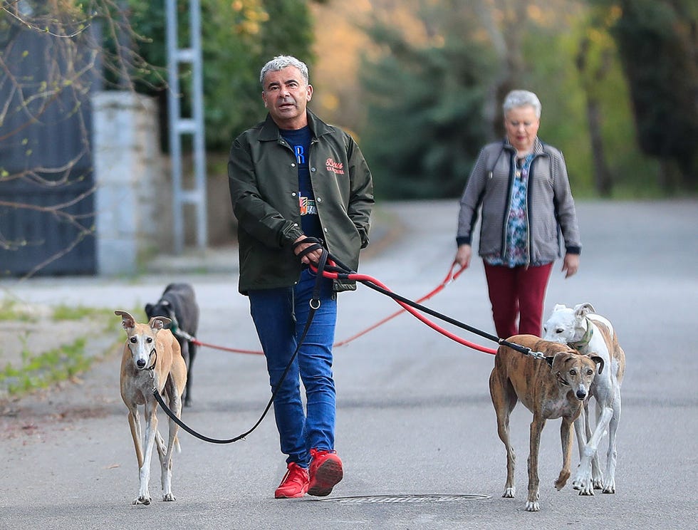 Jorge Javier Vázquez y su madre pasean a sus perros