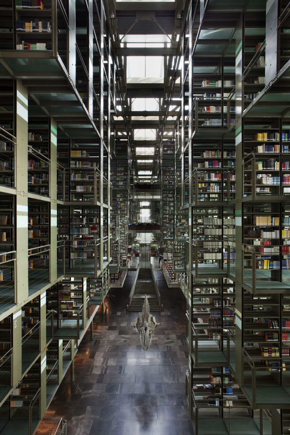 ホセ・ヴァスコンセロス図書館 メキシコシティ、メキシコ