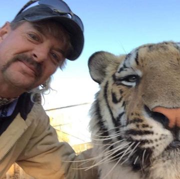 joseph maldonado passagejoe exotic selfie posing with tiger