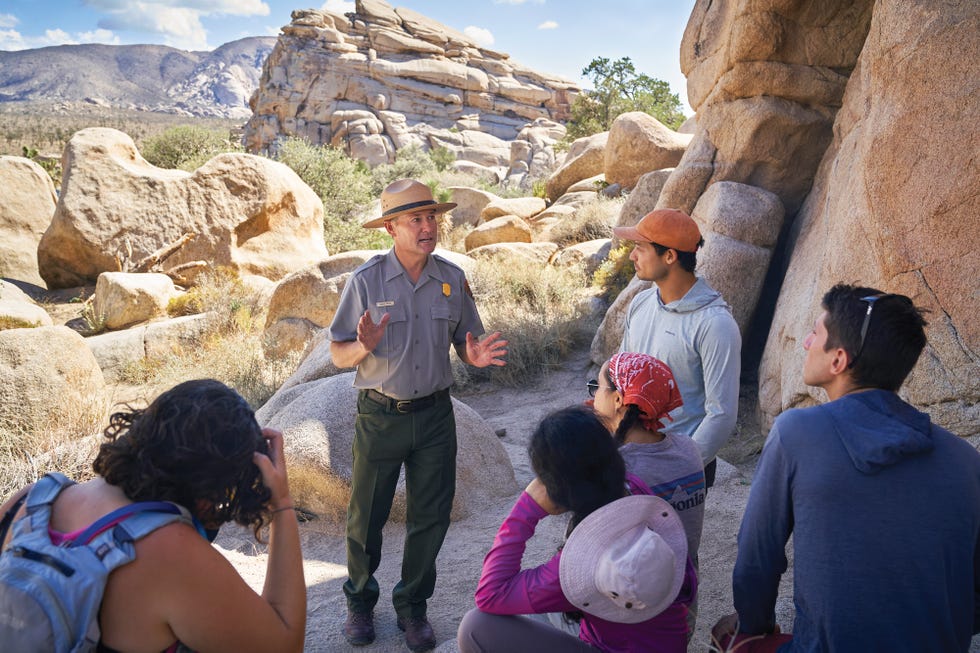 joshua tree national park, california, desert, hidden valley nature loop trail, alta journal