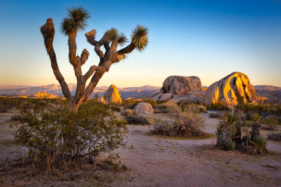 Google Earth online tours 31 national parks America