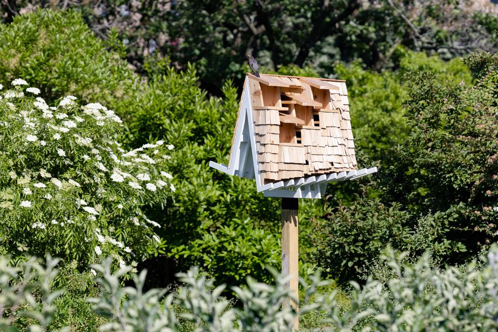 brooklyn botanic garden birdhouses